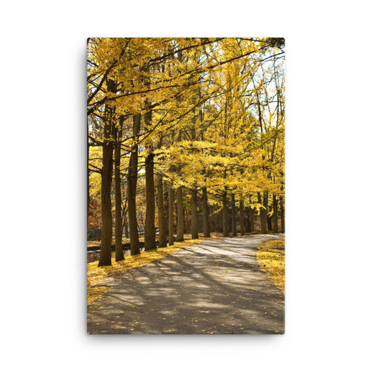 Fall Path Rural Landscape Canvas Wall Art Prints