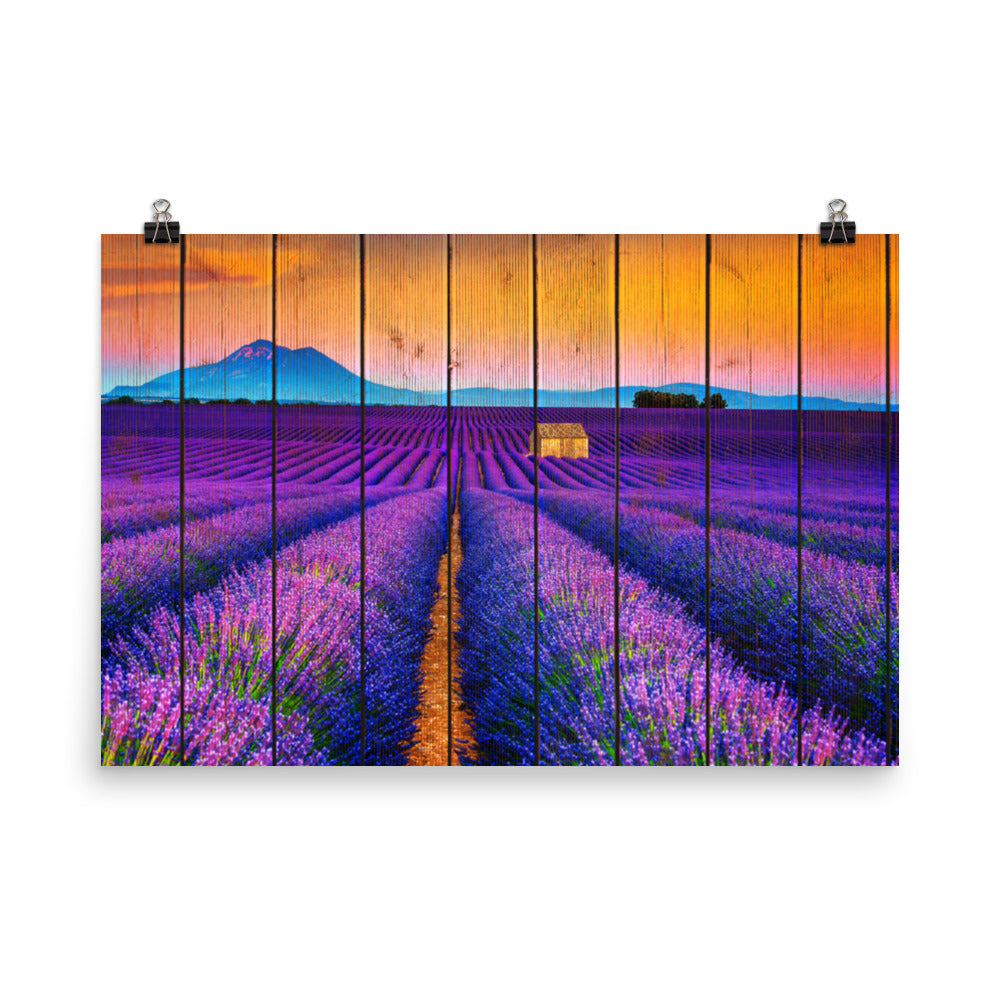 Faux Wood Lavender Fields and Sunset Landscape Photo Loose Wall Art Prints - PIPAFINEART