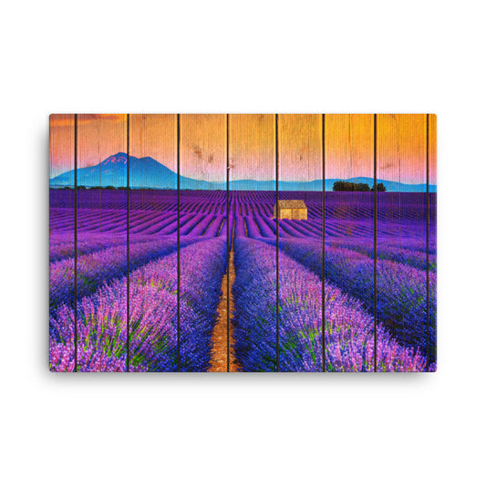 Faux Wood Lavender Fields and Sunset Rural Landscape Canvas Wall Art Prints