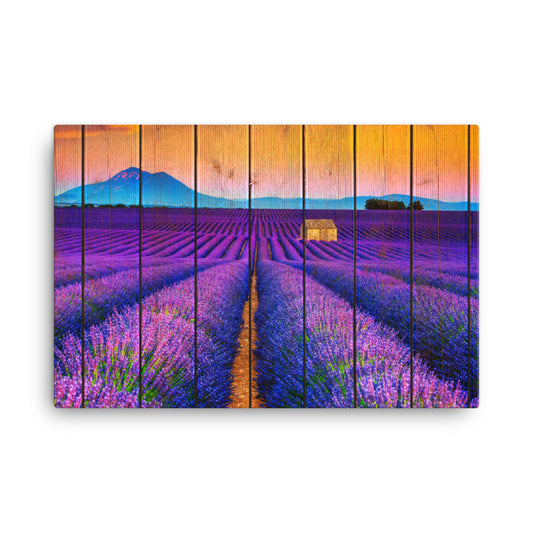 Faux Wood Lavender Fields and Sunset Farmhouse Style Floral Landscape Photograph Canvas Wall Art Prints