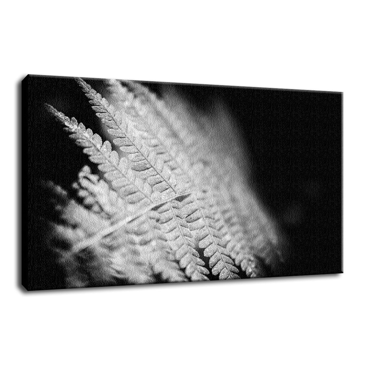 Fern Leaf in the Sunlight Botanical / Nature Photo Fine Art Canvas Wall Art Prints  - PIPAFINEART