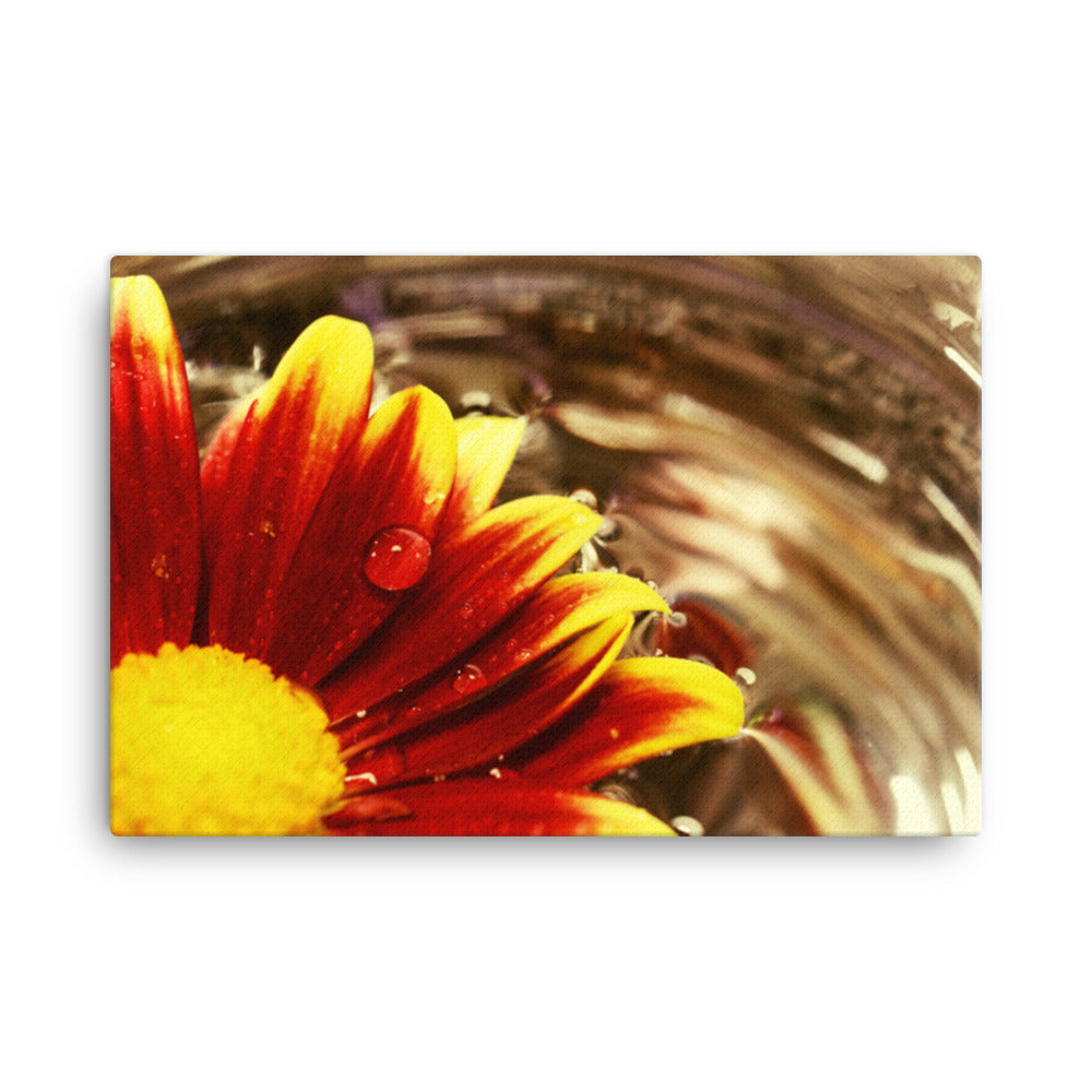 Floating Mum Floral Nature Canvas Wall Art Prints