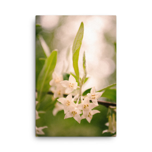 Floral Tranquility Floral Nature Canvas Wall Art Prints