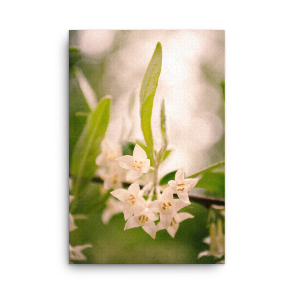 Floral Tranquility Floral Botanical Nature Photo Canvas Wall Art Prints