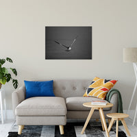 Flying Free Animal / Wildlife Photograph Fine Art Canvas & Unframed Wall Art Prints 24" x 36" / Canvas Fine Art - PIPAFINEART