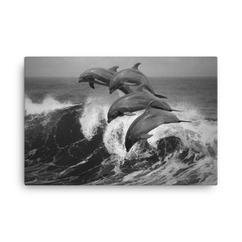 Four Bottle Noise Dolphins Jumping Waves In Tropical Ocean Black and White Animal Wildlife Photograph Canvas Wall Art Print