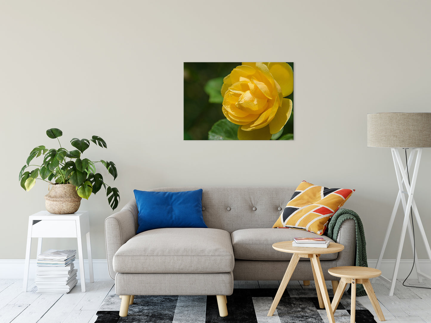 Friendship Rose Nature / Floral Photo Fine Art Canvas Wall Art Prints 24" x 36" - PIPAFINEART