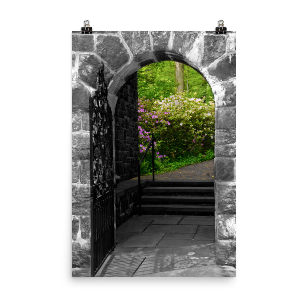 Garden Entryway Black and White Botanical Nature Photo Loose Unframed Wall Art Prints - PIPAFINEART