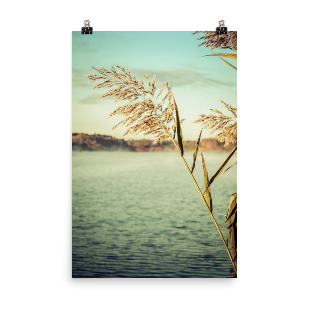 Golden Dreams Botanical Nature Photo Loose Unframed Wall Art Prints - PIPAFINEART
