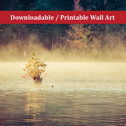 Golden Mist on Waples Pond Landscape Photo DIY Wall Decor Instant Download Print - Printable  - PIPAFINEART