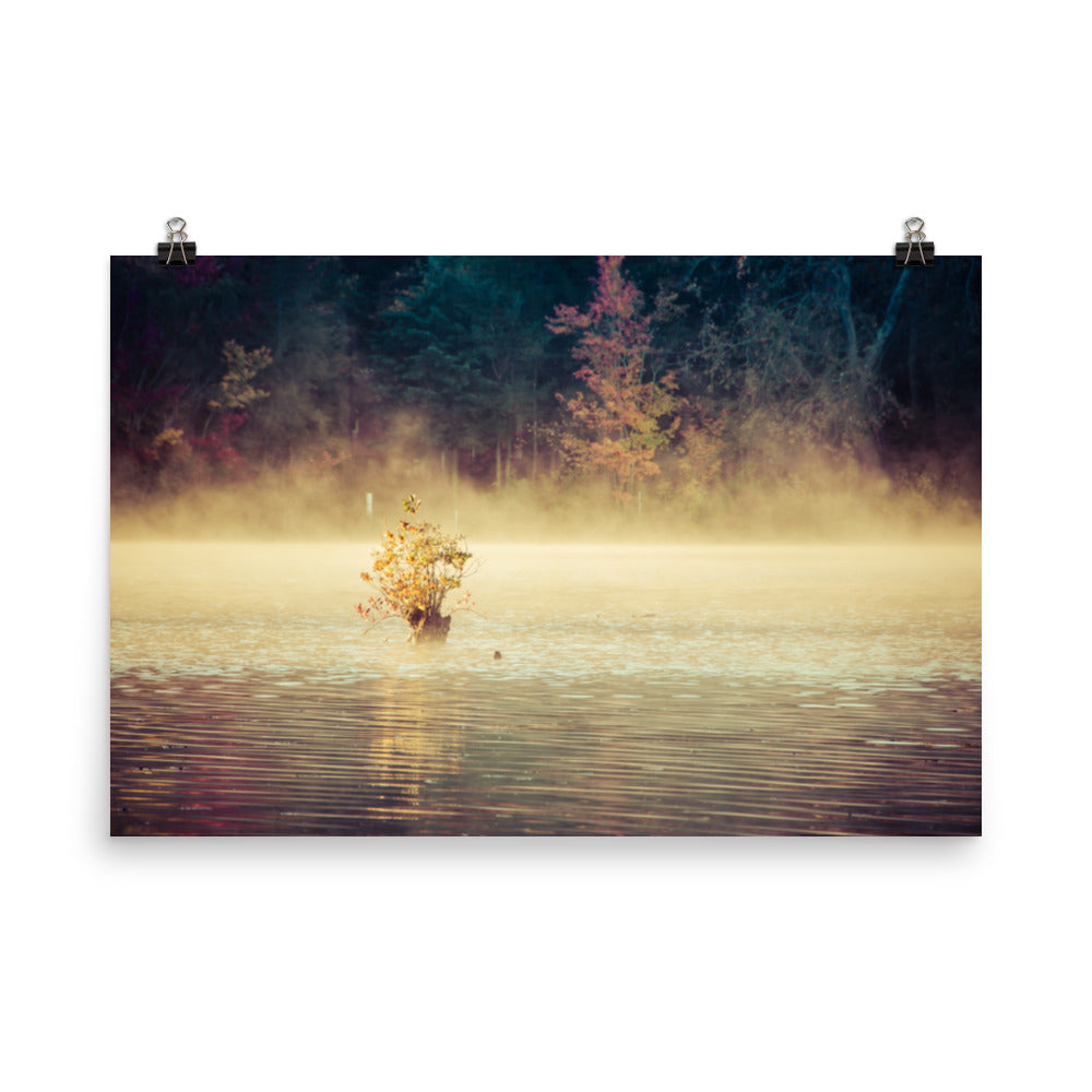 Golden Mist on Waples Pond Landscape Photo Loose Wall Art Prints - PIPAFINEART