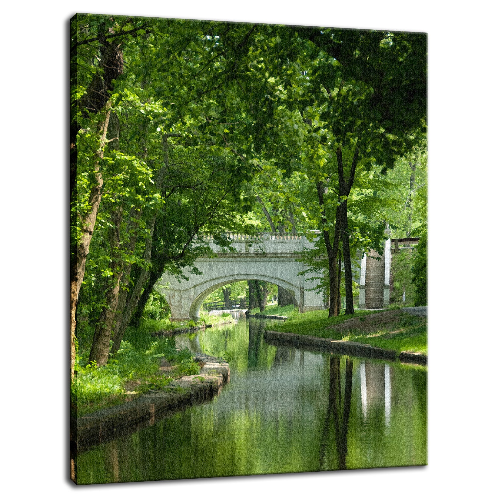Greenery at Brandywine Abstract Photo Fine Art Canvas & Unframed Wall Art Prints  - PIPAFINEART