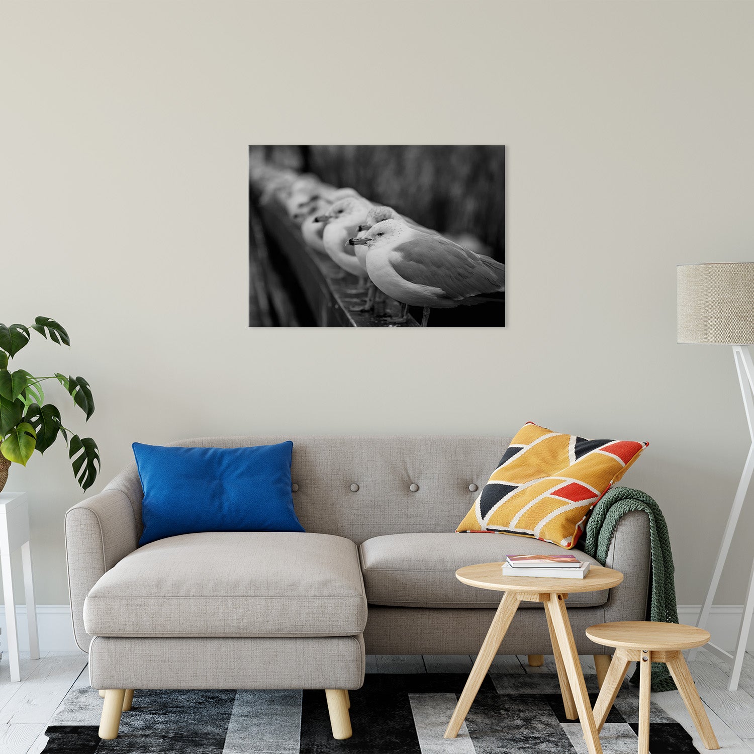 Gull King Animal / Wildlife Black and White Photograph Fine Art Canvas & Unframed Wall Art Prints 24" x 36" / Canvas Fine Art - PIPAFINEART