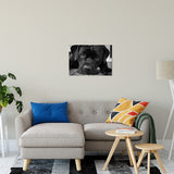 Gurdy on Porch Animal / Dog Black & White Fine Art Canvas & Unframed Wall Art Prints 20" x 24" / Canvas Fine Art - PIPAFINEART