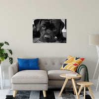 Gurdy on Porch Animal / Dog Black & White Fine Art Canvas & Unframed Wall Art Prints 24" x 36" / Canvas Fine Art - PIPAFINEART