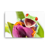Happy Red Eyed Tree Frog Sitting on Purple Tulip Flower Bloom Wildlife Nature Photo Canvas Wall Art Print