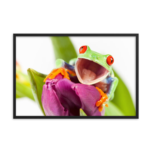 Happy Red Eyed Tree Frog Sitting on Purple Tulip Flower Bloom Wildlife Nature Photo Framed Wall Art Print