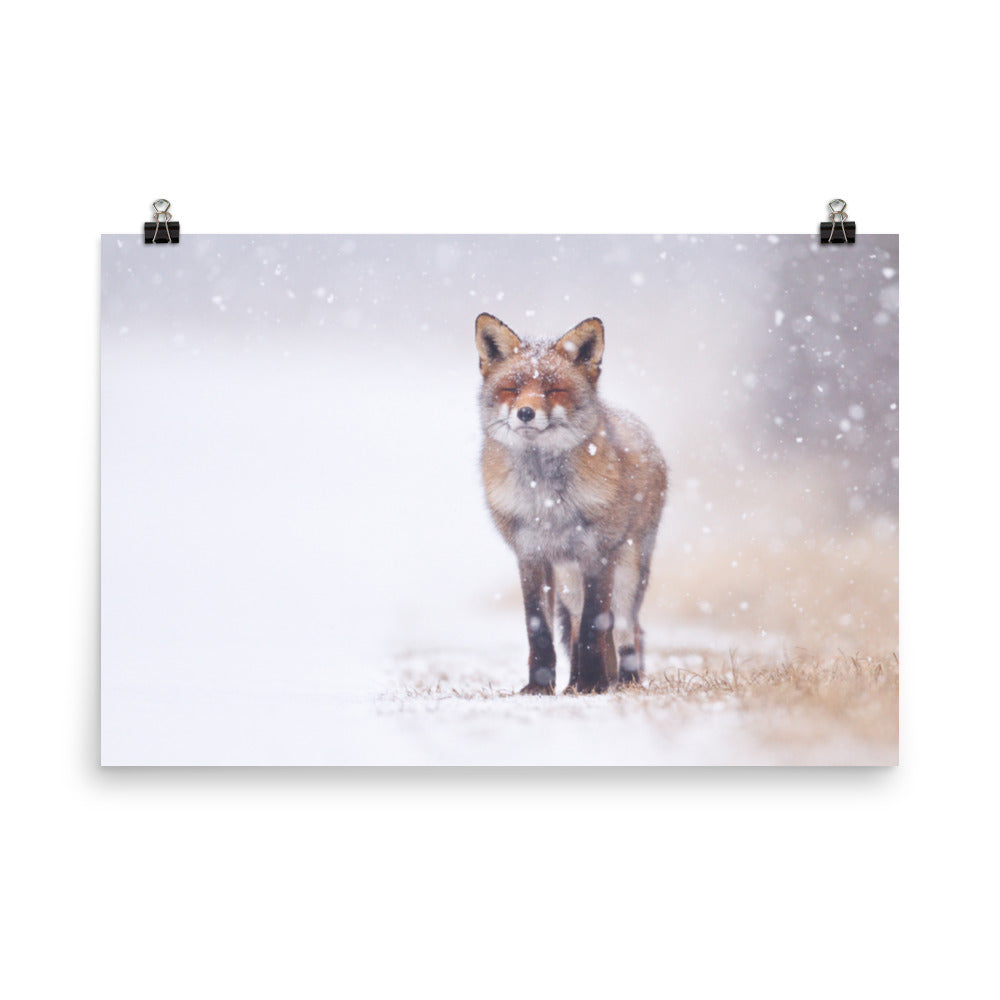 Happy Smiling Red Fox In The Snow Animal Wildlife Nature Photograph Loose Wall Art Print