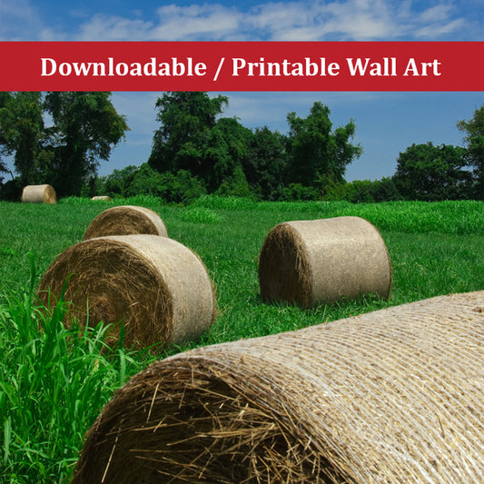 Hay Whatcha Doin' in the Field Landscape Photo DIY Wall Decor Instant Download Print - Printable  - PIPAFINEART