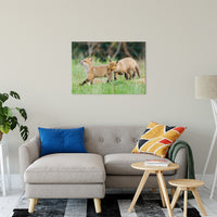 Head Held High Animal / Wildlife Photograph Fine Art Canvas & Unframed Wall Art Prints 24" x 36" / Canvas Fine Art - PIPAFINEART