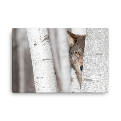 Wildlife Canvas Prints For Sale: 