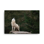 Howling White Wolf In The Forest Animal Wildlife Photograph Canvas Wall Art Print