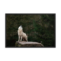 Howling White Wolf In The Forest Animal Wildlife Photograph Framed Wall Art Print