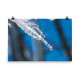 Icicle Nature Photo Loose Unframed Wall Art Prints - PIPAFINEART