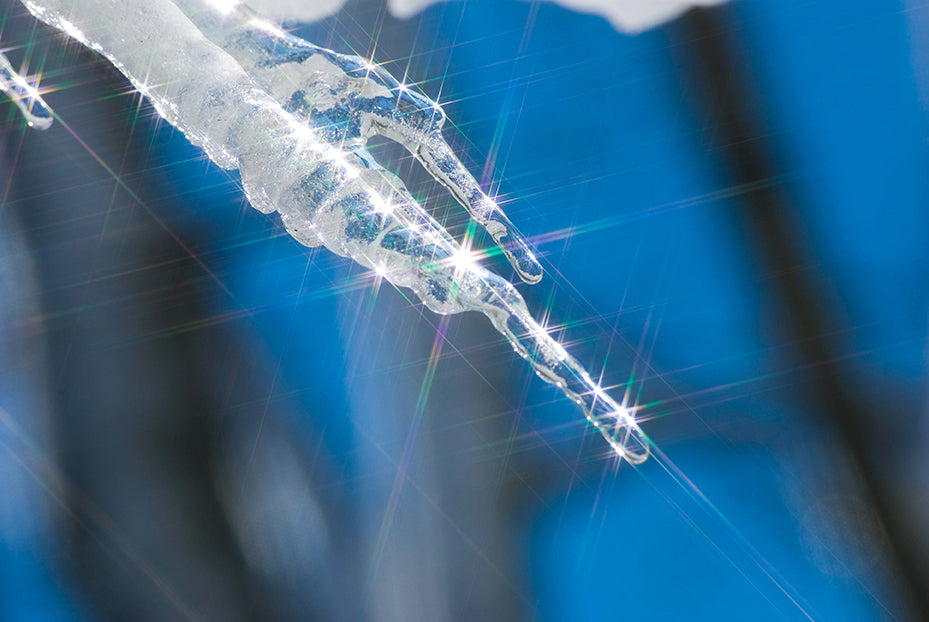 Icicle Nature Photo Fine Art Canvas Wall Art Prints  - PIPAFINEART