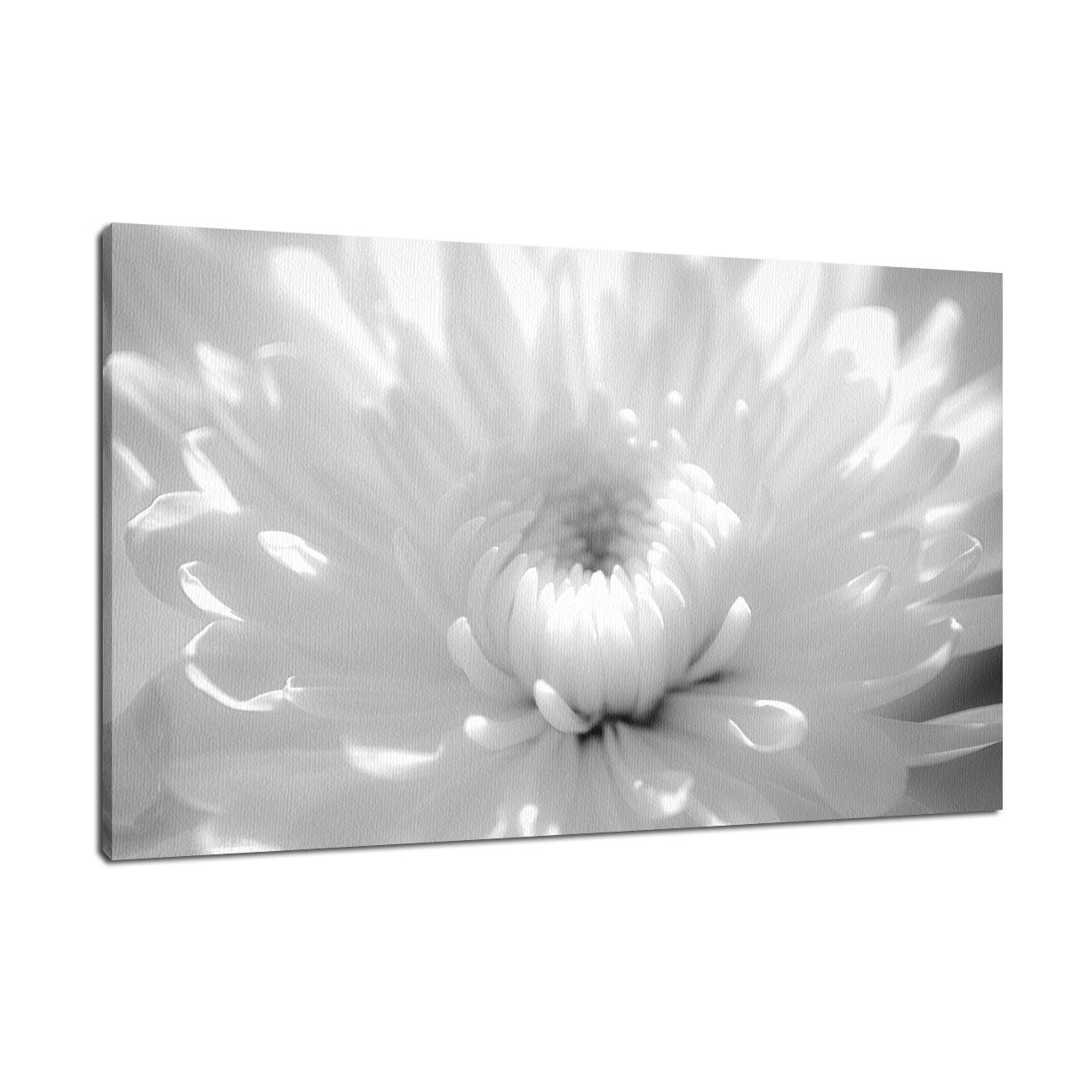 Infrared Flower 2 Nature / Floral Photo Fine Art Canvas Wall Art Prints  - PIPAFINEART