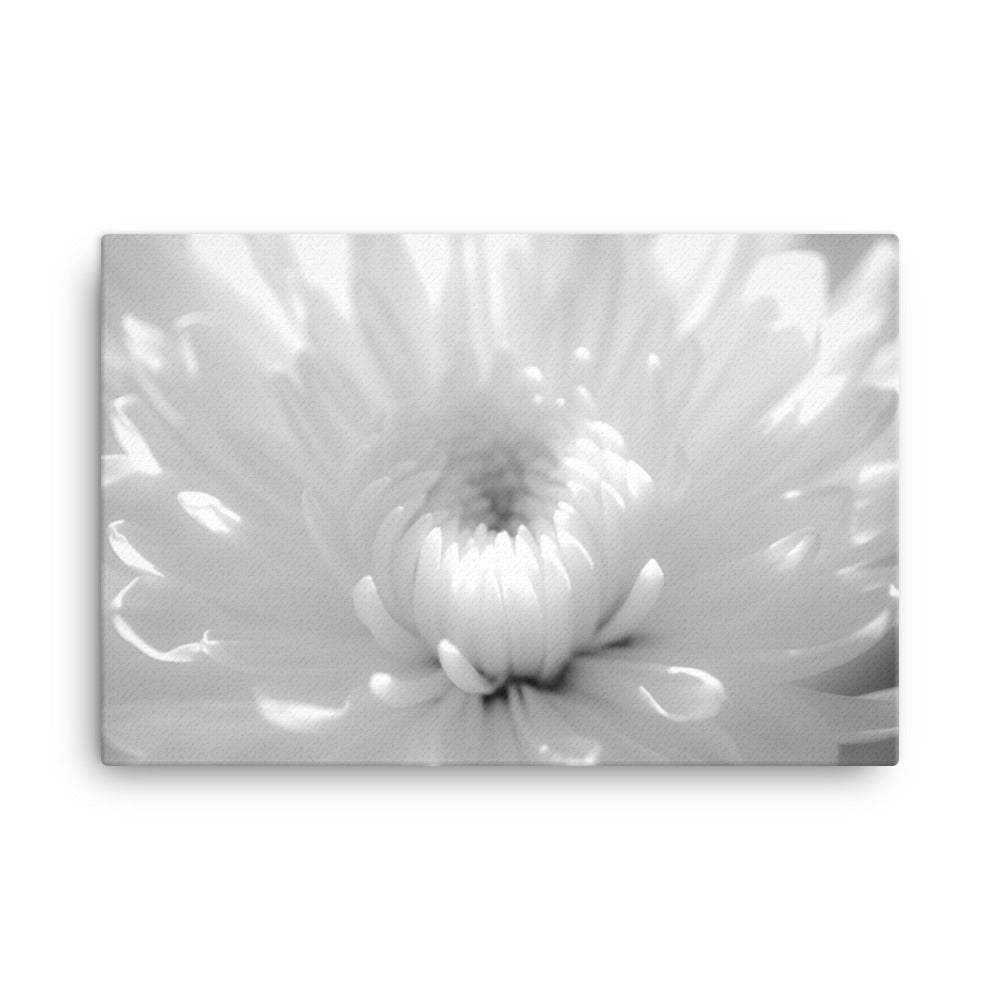 Infrared Flower 2 Black and White Floral Botanical Nature Photo Canvas Wall Art Prints