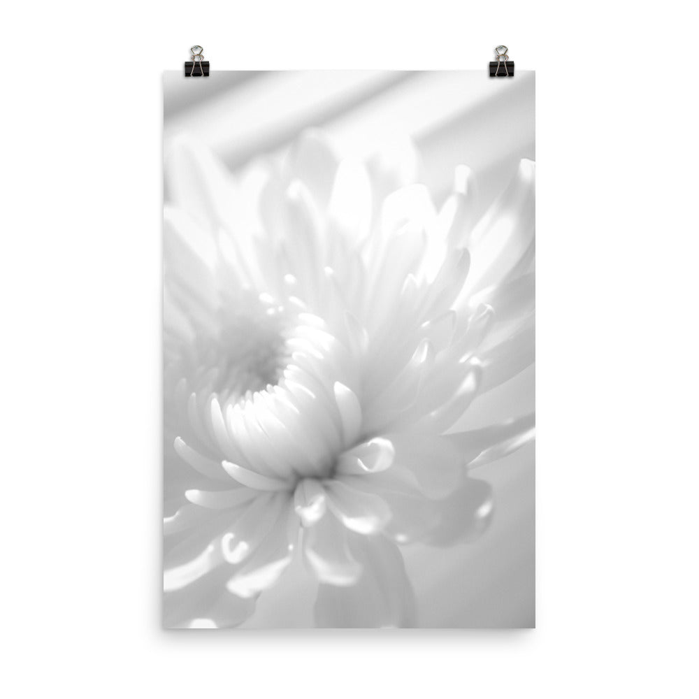 Infrared Flower Black and White Floral Nature Photo Loose Unframed Wall Art Prints - PIPAFINEART