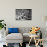Infrared Japanese Maple Abstract Photo Fine Art Canvas & Unframed Wall Art Prints 24" x 36" / Fine Art Canvas - PIPAFINEART