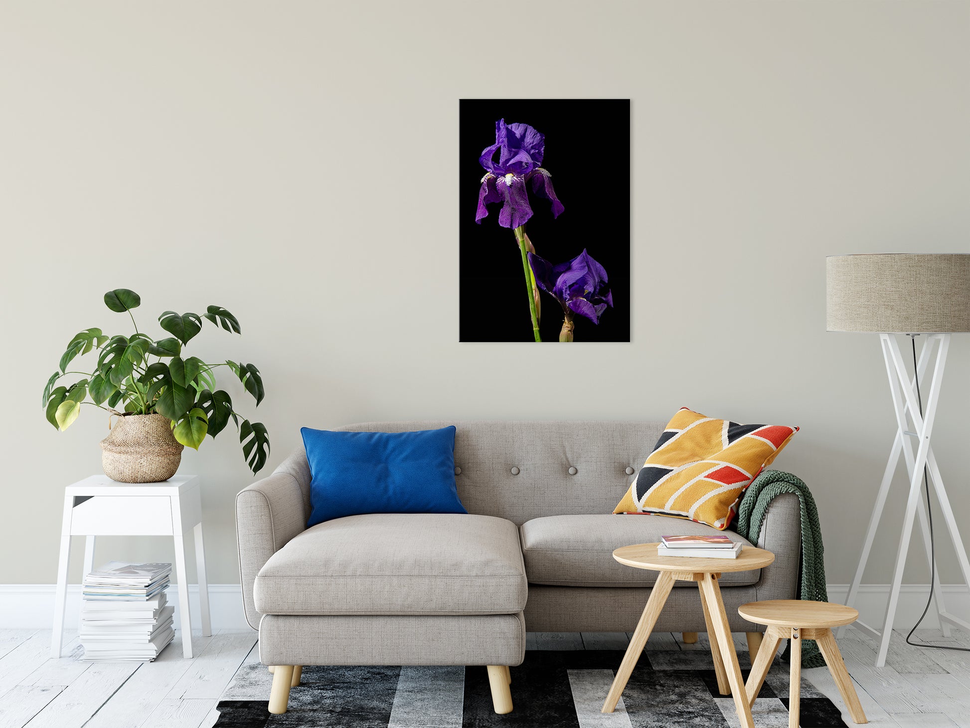 Iris on Black Nature / Floral Photo Fine Art Canvas Wall Art Prints 24" x 36" - PIPAFINEART