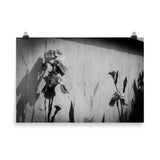 Iris on Wall Black and White Floral Nature Photo Loose Unframed Wall Art Prints - PIPAFINEART