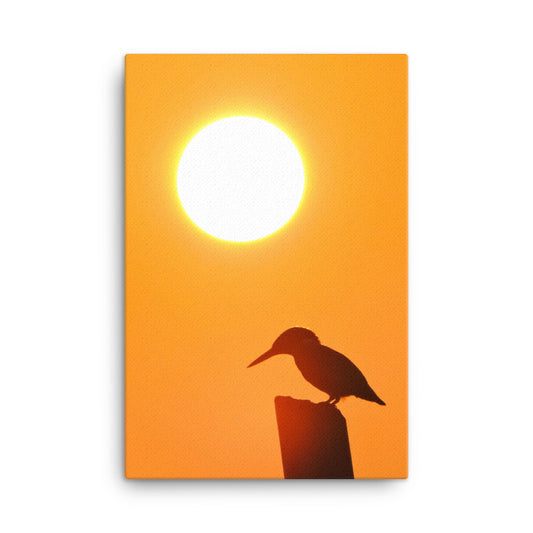 Kingfisher Bird Silhouette on Perch At Sunset Animal Wildlife Nature Photograph Canvas Wall Art Prints