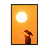 Kingfisher Bird Silhouette on Perch At Sunset Animal Wildlife Nature Photograph Framed Wall Art Prints