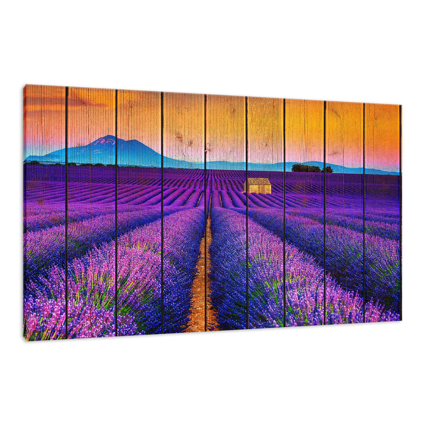Faux Wood Lavender Fields and Sunset Landscape Fine Art Canvas Wall Art Prints  - PIPAFINEART