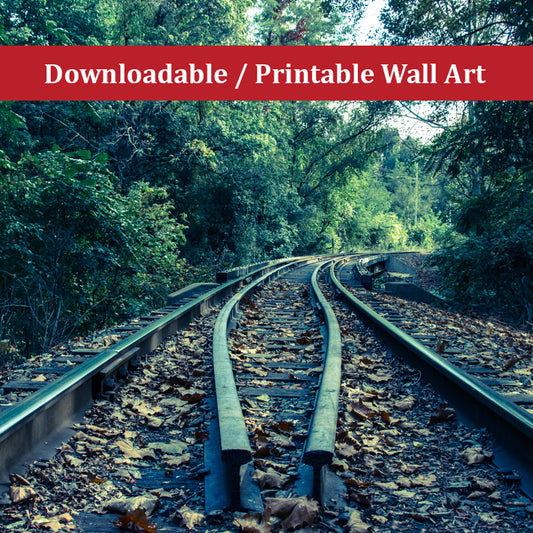 Lead Me Into The Light Colorized Landscape Photo DIY Wall Decor Instant Download Print - Printable  - PIPAFINEART