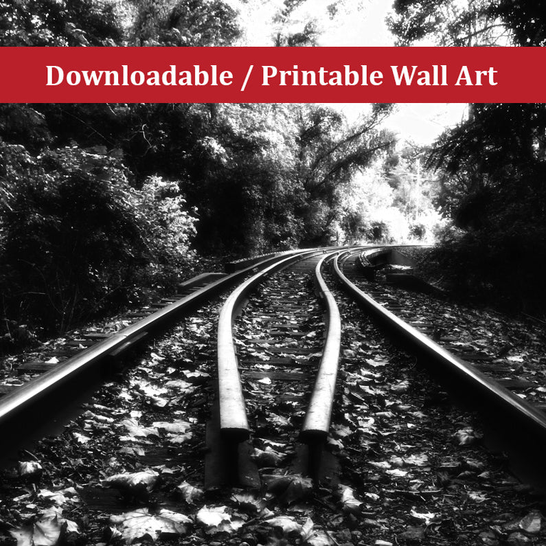 Lead Me Into The Light Black and White Landscape Photo DIY Wall Decor Instant Download Print - Printable  - PIPAFINEART