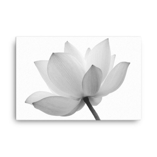 Lotus Flower Black and White Floral Nature Photo Canvas Wall Decorating Print