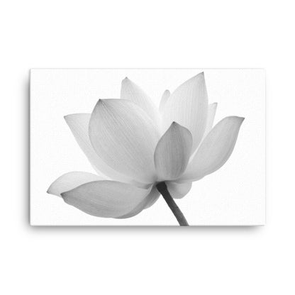 Lotus Flower Black and White Floral Botanical Nature Photo Canvas Wall Decorating Print