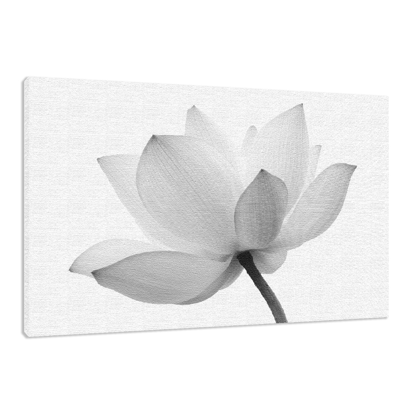 Lotus Flower Black and White Floral Nature Photo Fine Art Canvas Print  - PIPAFINEART