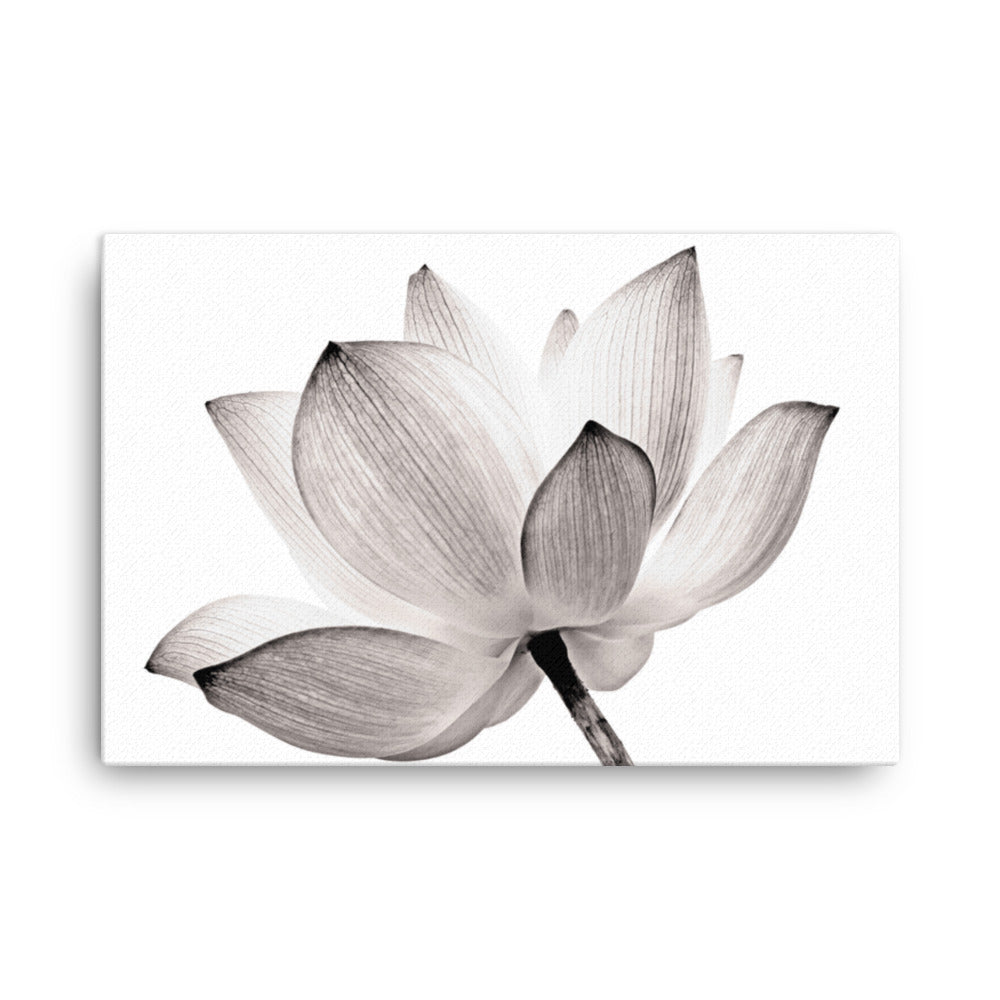 Lotus Flower Tinted Effect Floral Nature Photo Canvas Wall Decorating Art Print