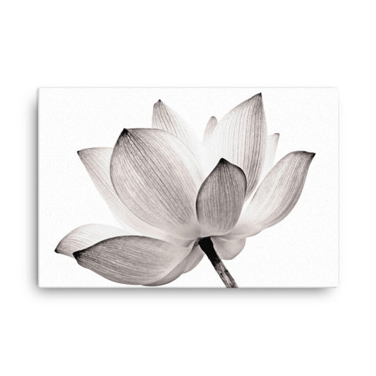 Lotus Flower Tinted Effect Floral Botanical Nature Photo Canvas Wall Decorating Art Print