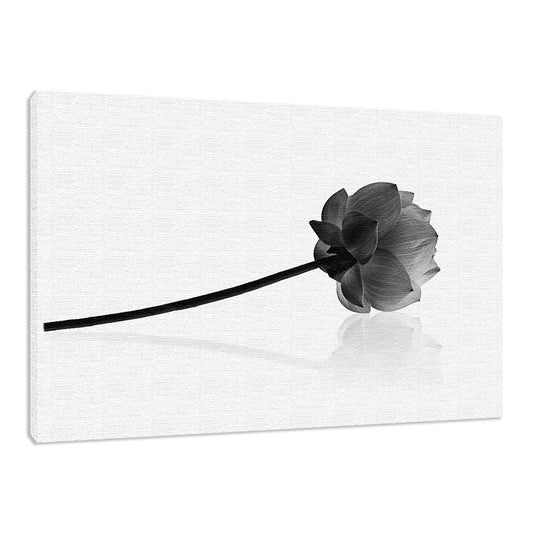 Resting Lotus Flower Black & White Floral Nature Photo Fine Art Canvas Print  - PIPAFINEART