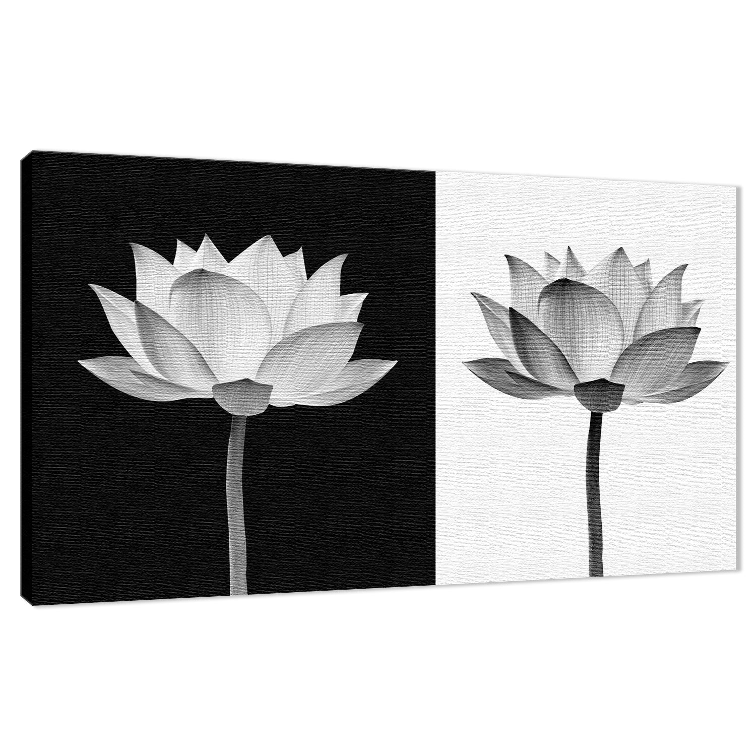 Lotus Flower on Black and White Background Floral Nature Photo Fine Art Canvas Print  - PIPAFINEART
