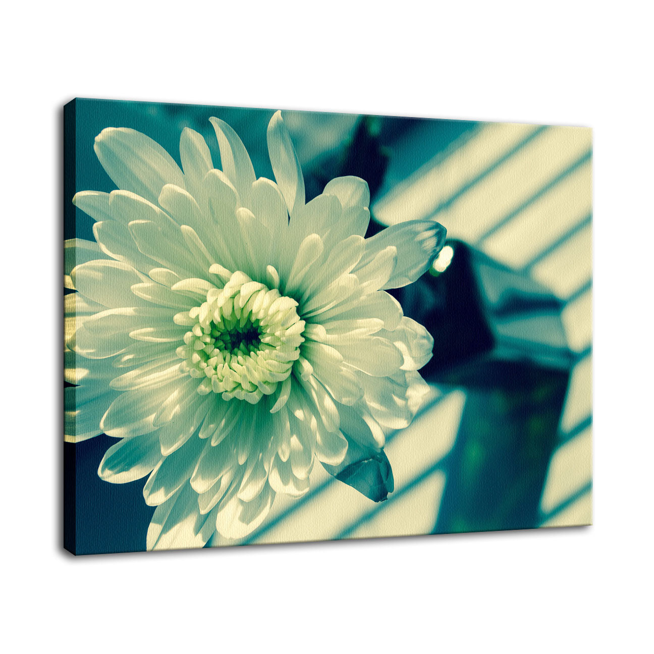Melancholy Flower Nature / Floral Photo Fine Art Canvas Wall Art Prints  - PIPAFINEART