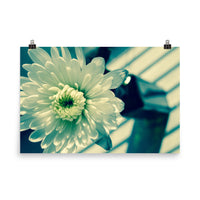 Melancholy Flower Floral Nature Photo Loose Unframed Wall Art Prints - PIPAFINEART