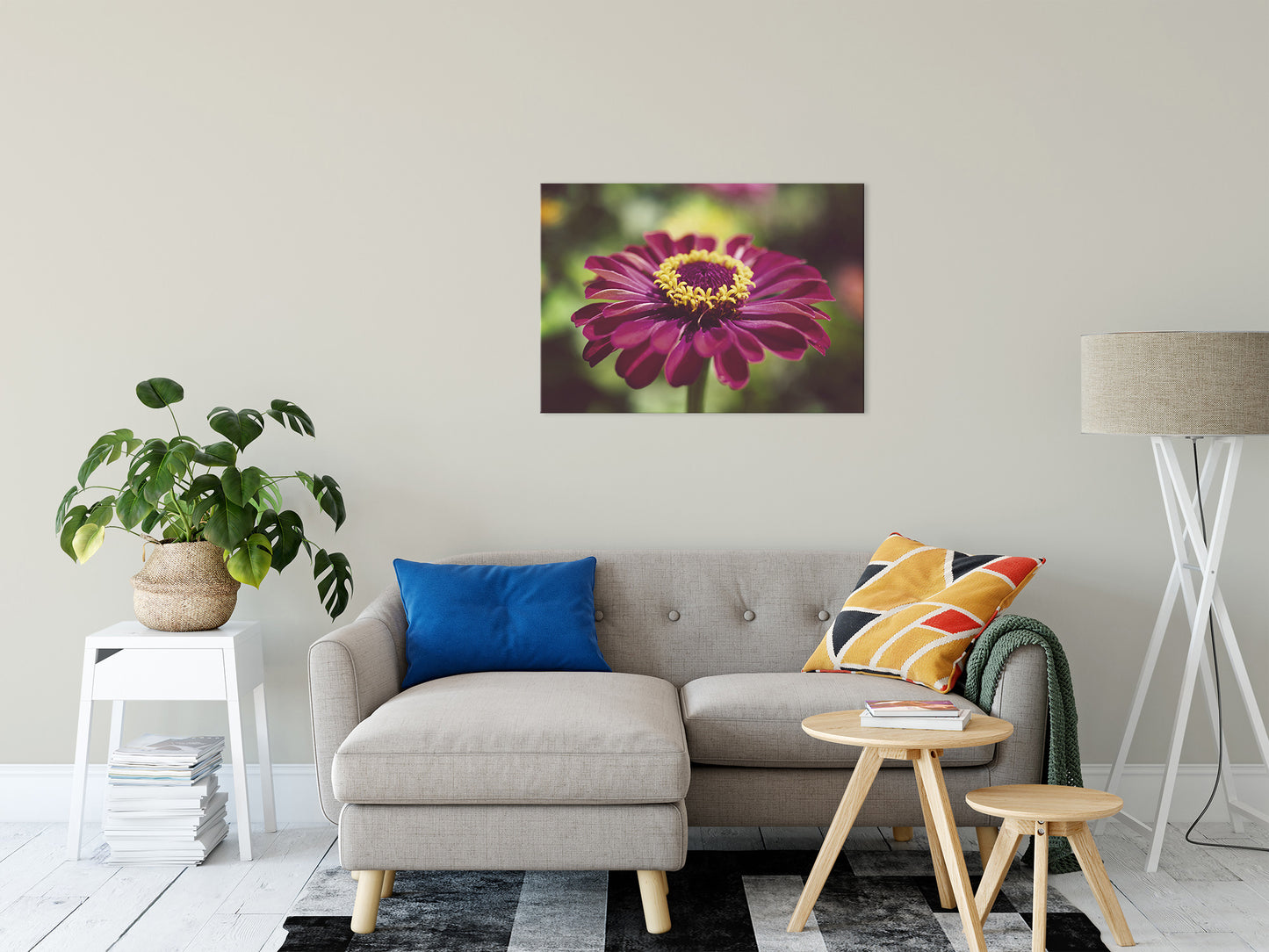 Moody Young-And-Old Age Pink Zinnia Flower Bloom Fine Art Canvas Wall Art Prints 24" x 36" - PIPAFINEART